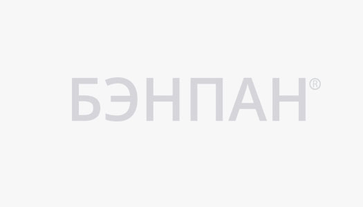 Логотип бэнпан серый